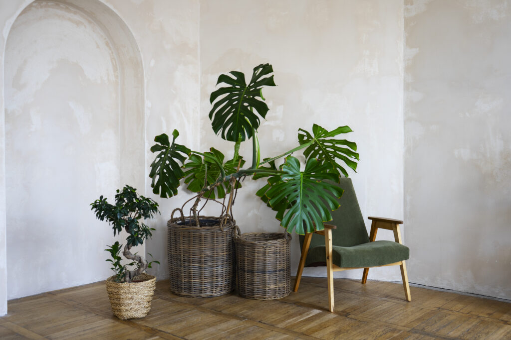 DIY Wall Treatments - Organic modern living room